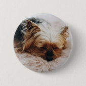 Kutest Baby Animals | Yorkshire Terrier Ronde Button 5,7 Cm (Voorkant)