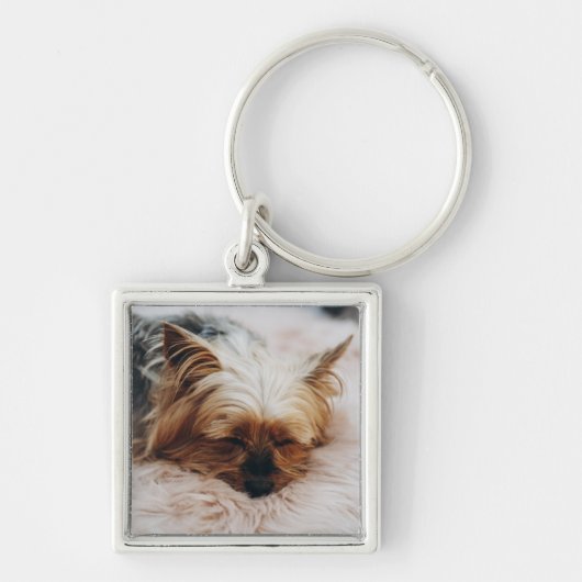 Kutest Baby Animals | Yorkshire Terrier Sleutelhanger (Voorkant)
