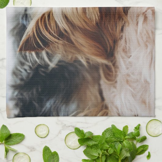 Kutest Baby Animals | Yorkshire Terrier Theedoek (Gevouwen)