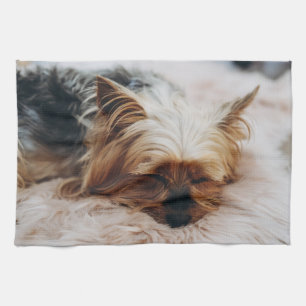 Kutest Baby Animals Yorkshire Terrier Theedoek