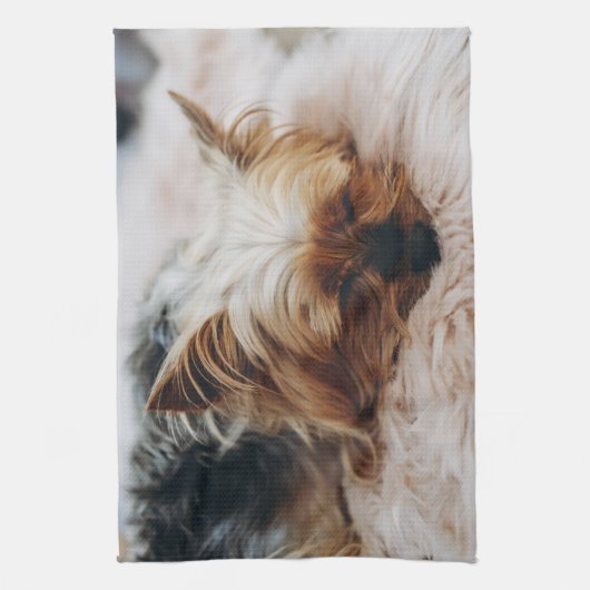 Kutest Baby Animals | Yorkshire Terrier Theedoek (Verticaal)