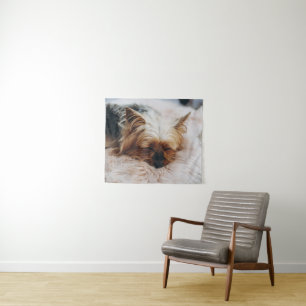 Kutest Baby Animals   Yorkshire Terrier Wandkleed