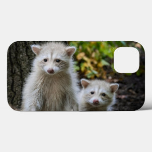 Kutest Baby Animals   Young Blonde Raccoons Case-Mate iPhone Case