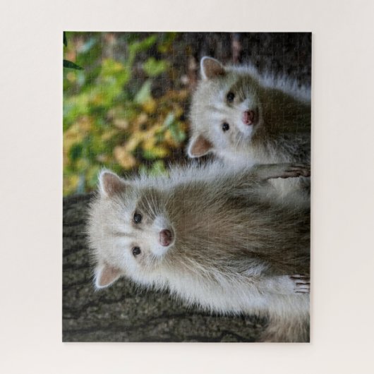Kutest Baby Animals | Young Blonde Raccoons Legpuzzel (Verticaal)