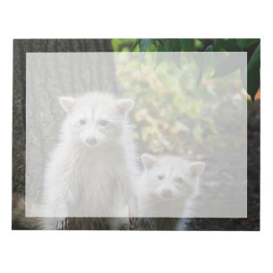 Kutest Baby Animals Young Blonde Raccoons Notitieblok