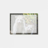 Kutest Baby Animals | Young Blonde Raccoons Post-it® Notes (Voorkant)