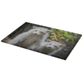 Kutest Baby Animals | Young Blonde Raccoons Snijplank (Hoek)