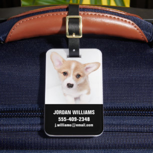 Kutest Baby Animals Young Corgi Puppy Bagagelabel
