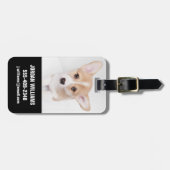 Kutest Baby Animals | Young Corgi Puppy Bagagelabel (Voorkant horizontaal)