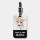 Kutest Baby Animals | Young Corgi Puppy Bagagelabel (Voorkant verticaal)