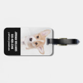 Kutest Baby Animals | Young Corgi Puppy Bagagelabel (Achterkant horizontaal)