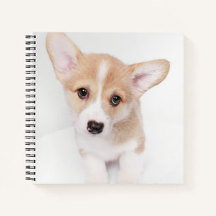 Kutest Baby Animals   Young Corgi Puppy Notitieboek