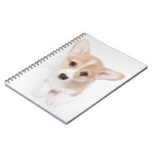 Kutest Baby Animals | Young Corgi Puppy Notitieboek (Linkerzijde)