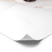 Kutest Baby Animals | Young Corgi Puppy Poster (Hoek)