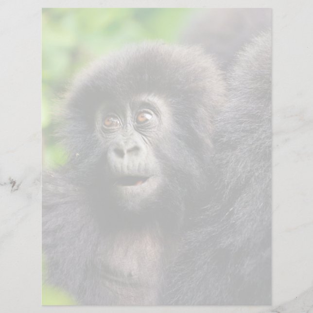 Kutest Baby Animals | Young Mountain Gorilla (Voorkant)