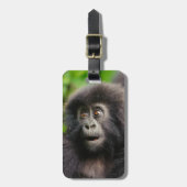 Kutest Baby Animals | Young Mountain Gorilla Bagagelabel (Voorkant verticaal)