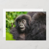 Kutest Baby Animals | Young Mountain Gorilla Bedankkaart (Voorkant / Achterkant)