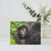 Kutest Baby Animals | Young Mountain Gorilla Briefkaart (Staand voorkant)
