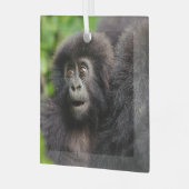 Kutest Baby Animals | Young Mountain Gorilla Glas Ornament (Voorkant links)