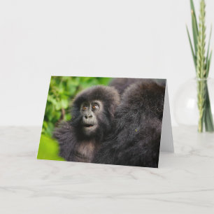 Kutest Baby Animals Young Mountain Gorilla Kaart