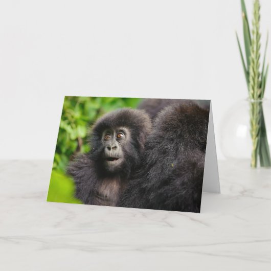 Kutest Baby Animals | Young Mountain Gorilla Kaart (Voorkant)