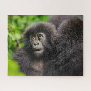 Kutest Baby Animals   Young Mountain Gorilla Legpuzzel
