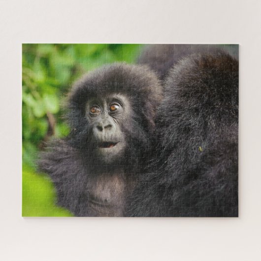Kutest Baby Animals | Young Mountain Gorilla Legpuzzel (Horizontaal)