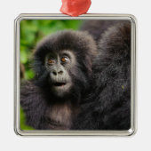 Kutest Baby Animals | Young Mountain Gorilla Metalen Ornament (Voorkant)