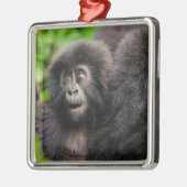 Kutest Baby Animals | Young Mountain Gorilla Metalen Ornament (Links)