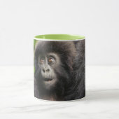 Kutest Baby Animals | Young Mountain Gorilla Mok (Midden)