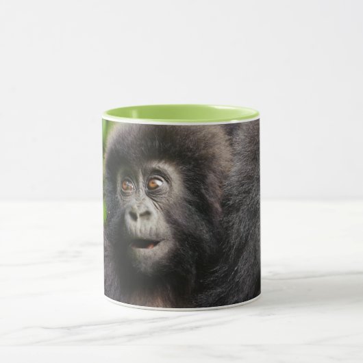 Kutest Baby Animals | Young Mountain Gorilla Mok (Midden)