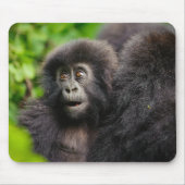 Kutest Baby Animals | Young Mountain Gorilla Muismat (Voorkant)