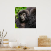 Kutest Baby Animals | Young Mountain Gorilla Poster (Keuken)