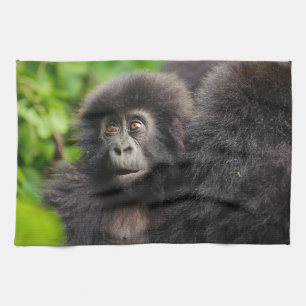 Kutest Baby Animals Young Mountain Gorilla Theedoek