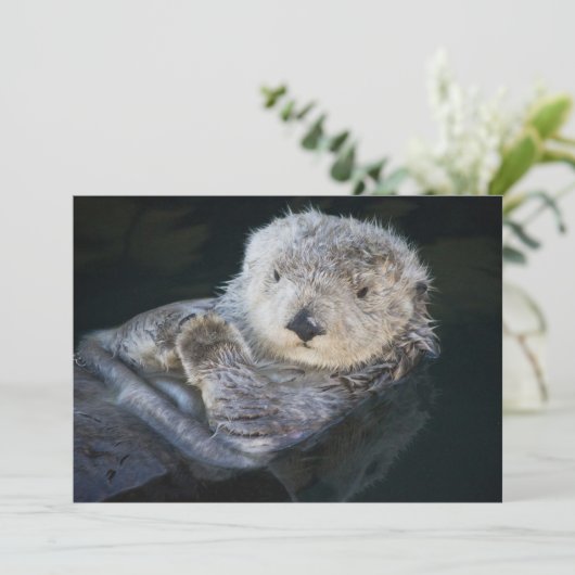Kutest Baby Animals | Zee Otter Floating Bedankkaart (Staand voorkant)