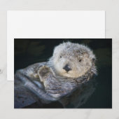 Kutest Baby Animals | Zee Otter Floating Bedankkaart (Voorkant / Achterkant)