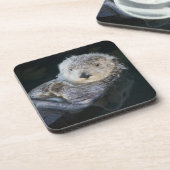 Kutest Baby Animals | Zee Otter Floating Bier Onderzetter (Linkerzijde)