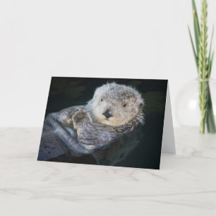 Kutest Baby Animals Zee Otter Floating Kaart