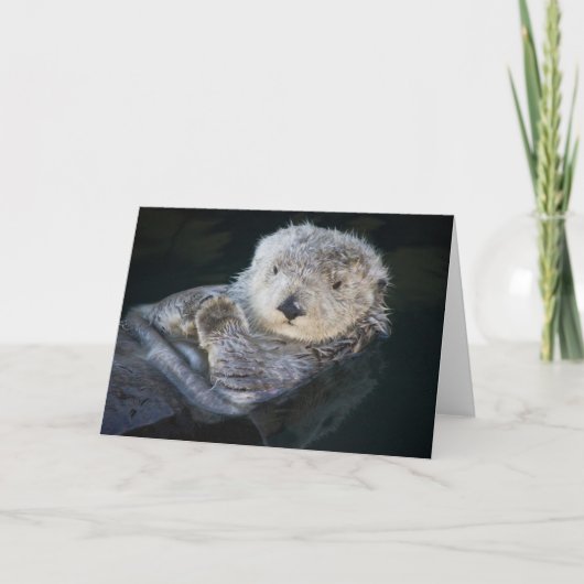 Kutest Baby Animals | Zee Otter Floating Kaart (Voorkant)