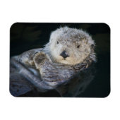 Kutest Baby Animals | Zee Otter Floating Magneet (Horizontaal)