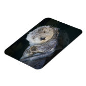 Kutest Baby Animals | Zee Otter Floating Magneet (Linkerzijde)
