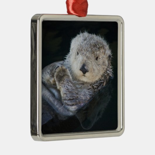 Kutest Baby Animals | Zee Otter Floating Metalen Ornament (Rechts)