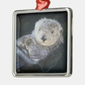 Kutest Baby Animals | Zee Otter Floating Metalen Ornament (Links)