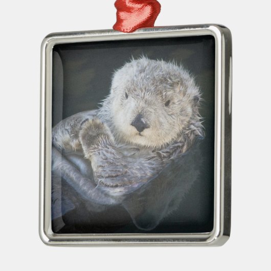 Kutest Baby Animals | Zee Otter Floating Metalen Ornament (Links)