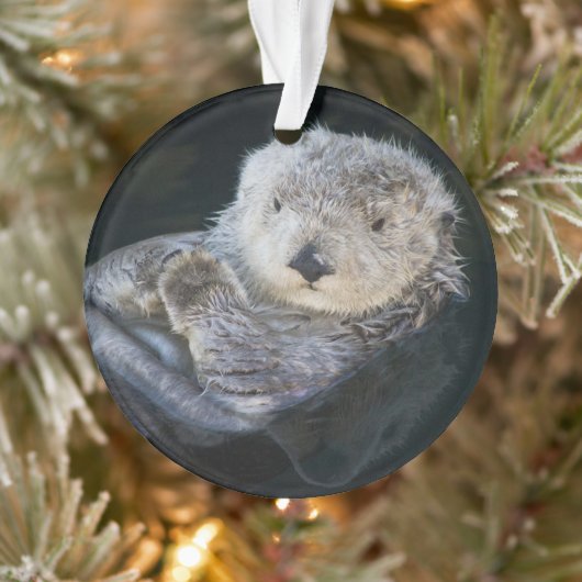Kutest Baby Animals | Zee Otter Floating Ornament (Boom)