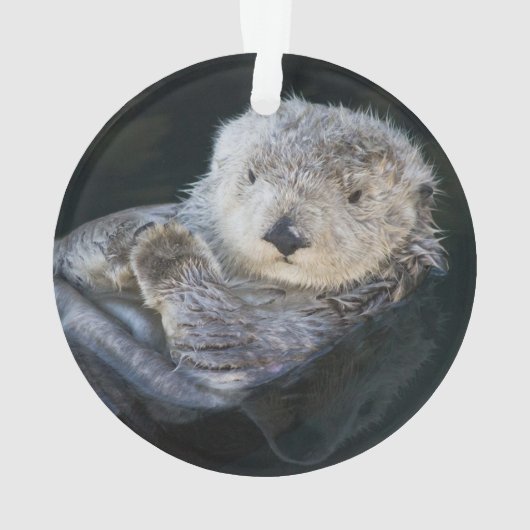 Kutest Baby Animals | Zee Otter Floating Ornament (achterkant)
