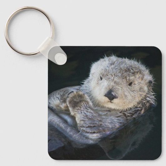 Kutest Baby Animals | Zee Otter Floating Sleutelhanger (Voorkant)