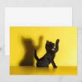 Kutest Baby Animals | Zwart kattenspel Bedankkaart (Voorkant / Achterkant)