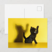 Kutest Baby Animals | Zwart kattenspel Briefkaart (Voorkant / Achterkant)