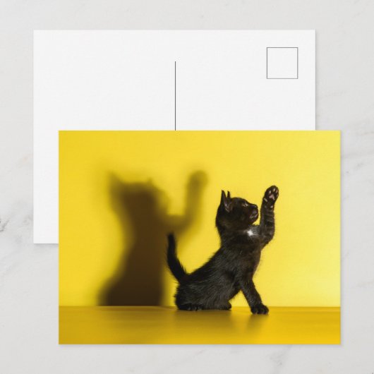Kutest Baby Animals | Zwart kattenspel Briefkaart (Voorkant / Achterkant)